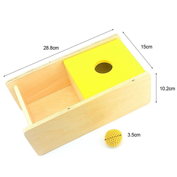 Imbucare Box - Box Coin Wooden Vertical Horizontal Discs Basic & Life Toys Hand & Feet Finders